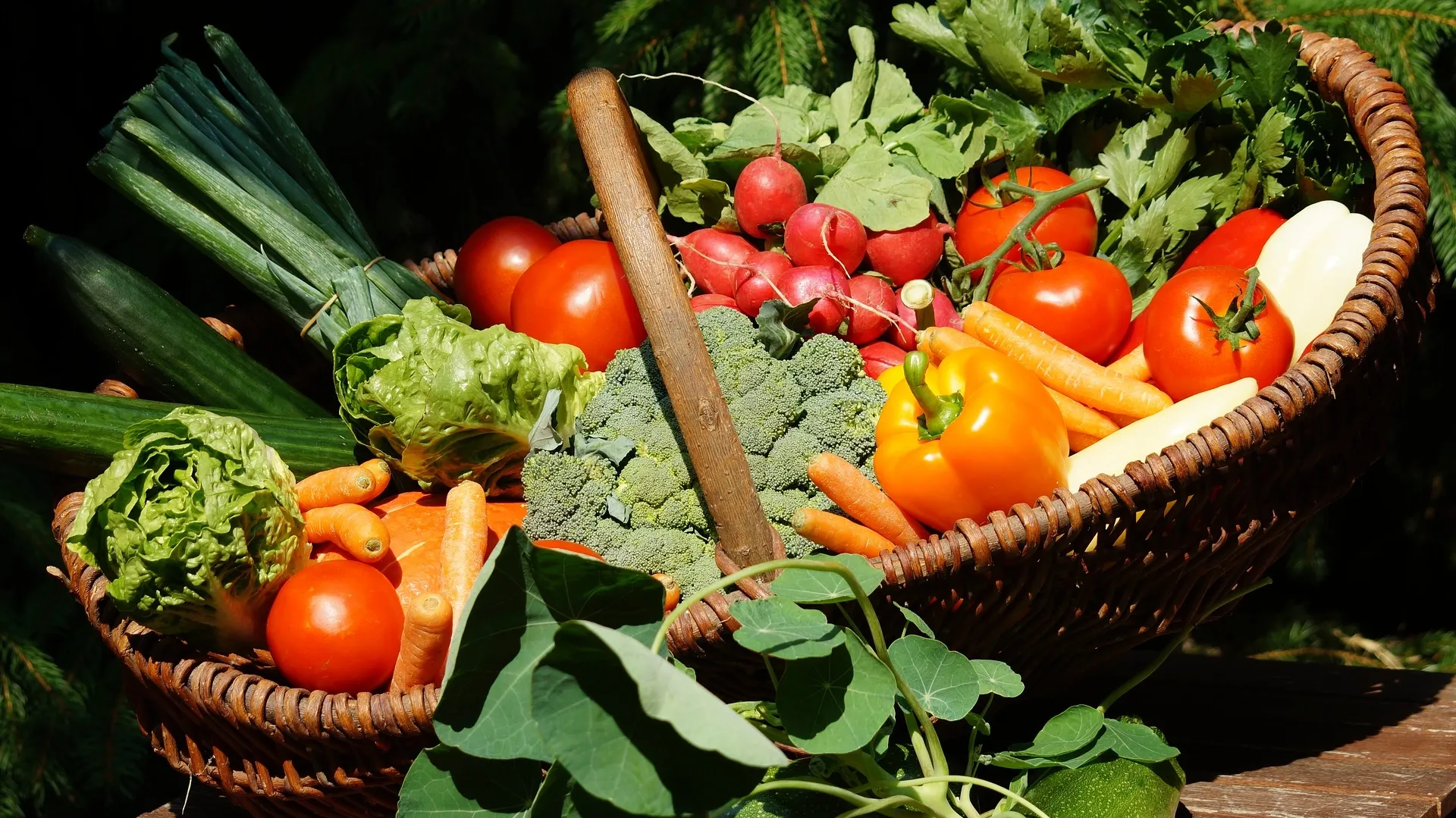 Vegetables 3400809_1920