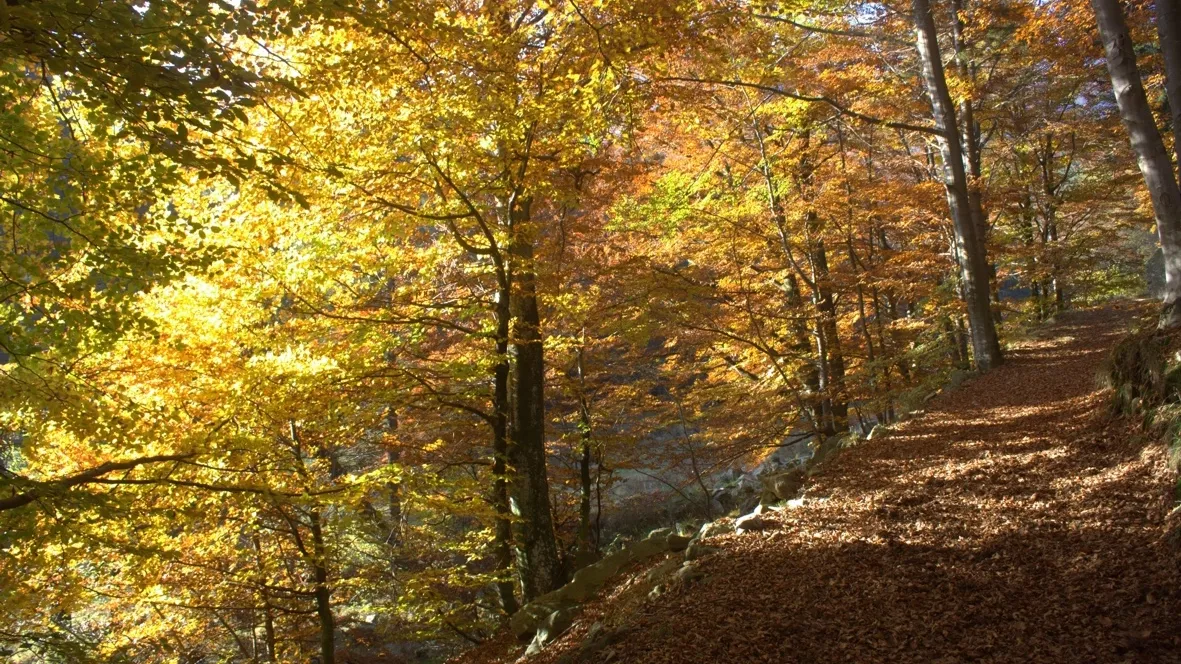 SMOropa_Colori03