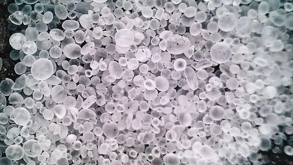 Salt_under_the_microscope
