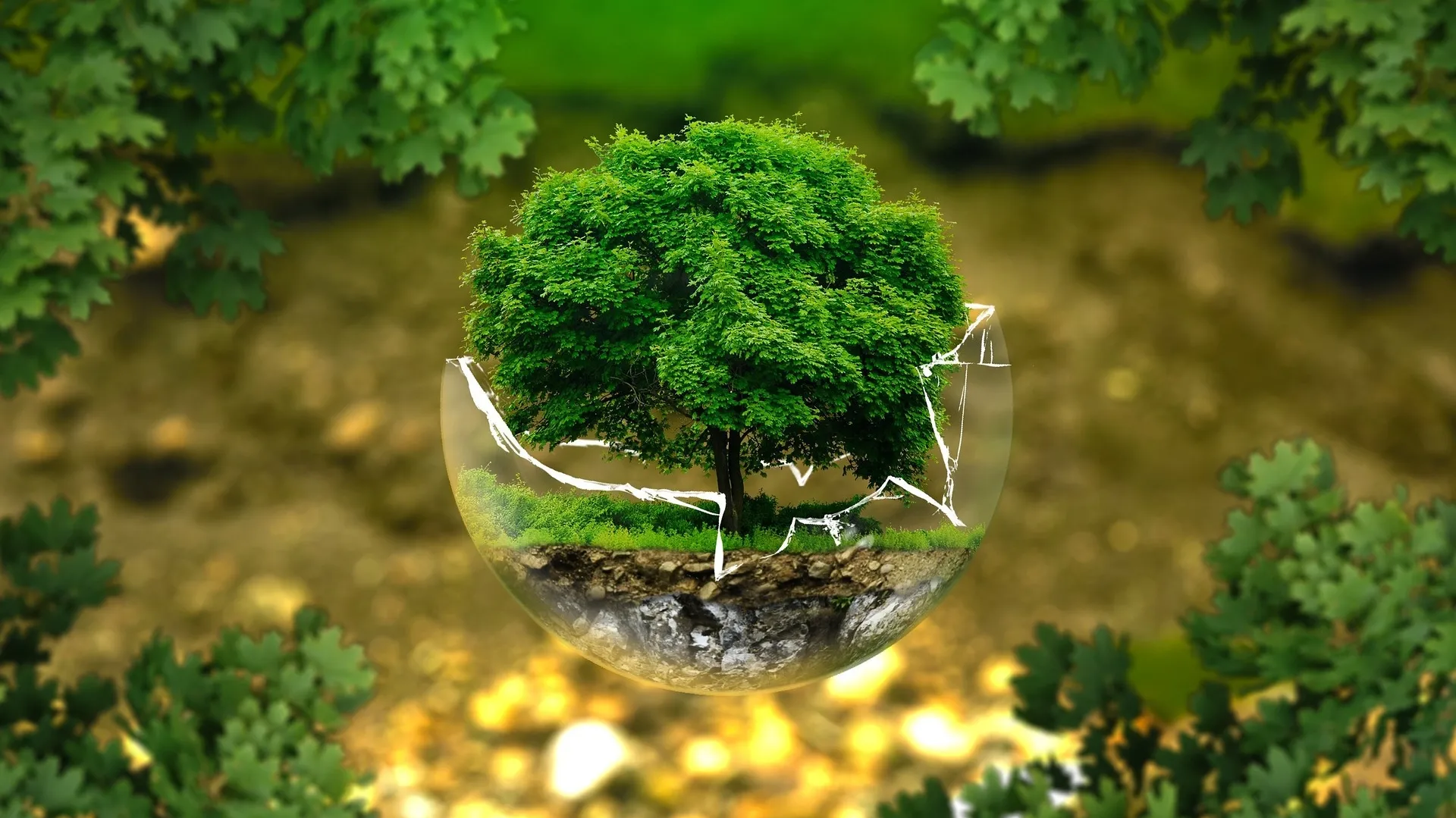 Environmental Protection G0f486ad55_1920