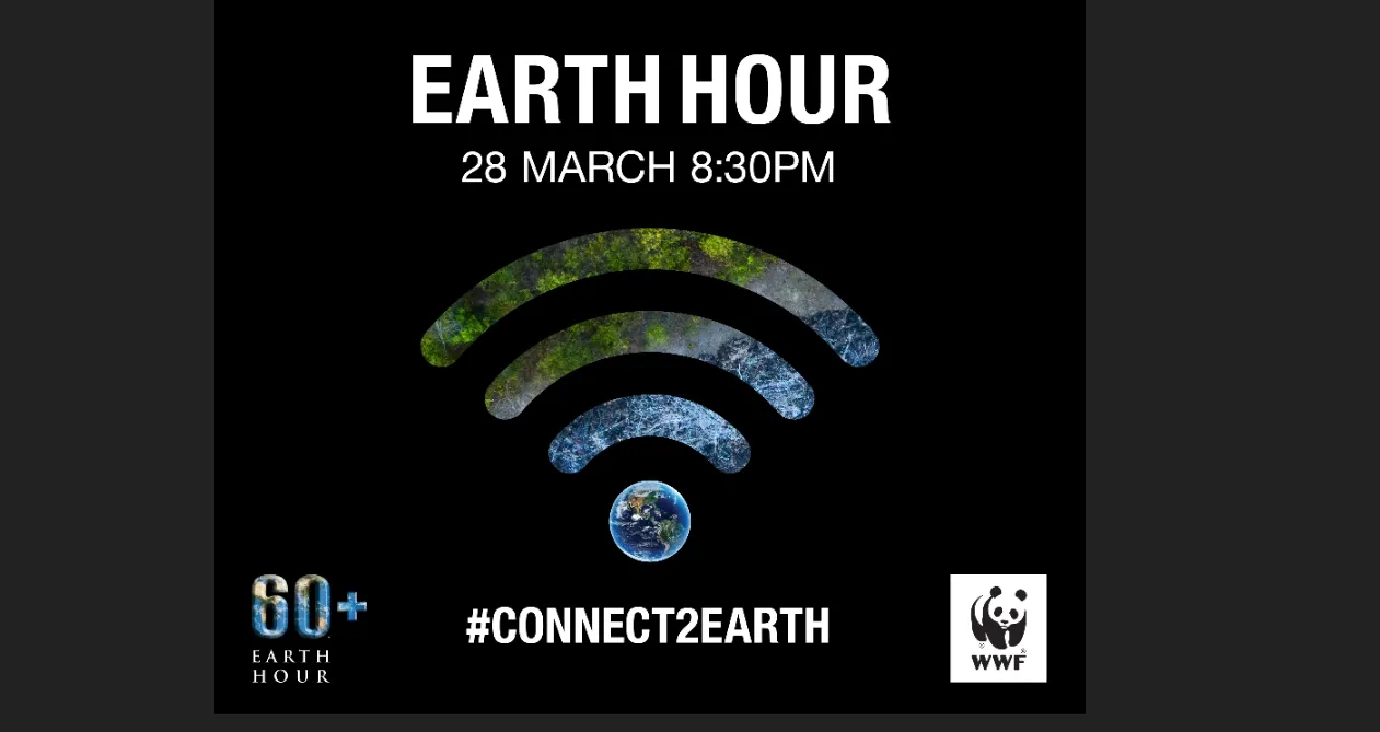 3__wwf_eh_2020_global_digital_banner__300x250px__1