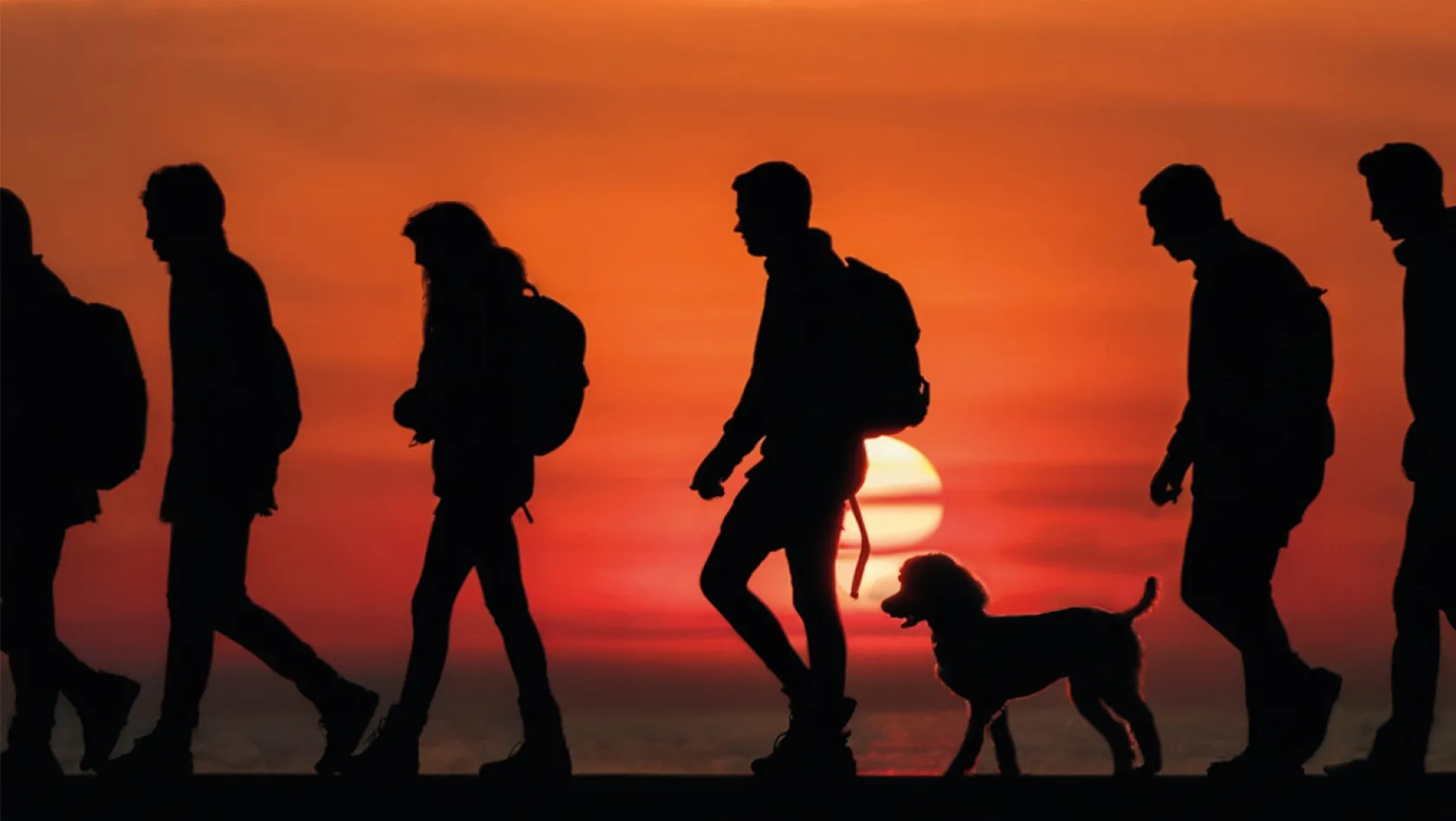 Cop ecommerce NALDINI