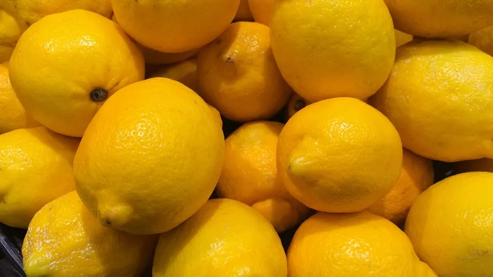 Lemon 1630517_960_720