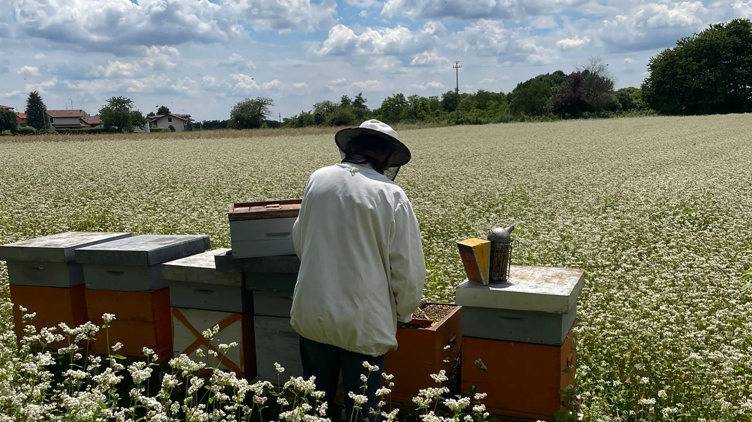 WhatsApp Image 2025 11 21 at 12.11.12 (3)