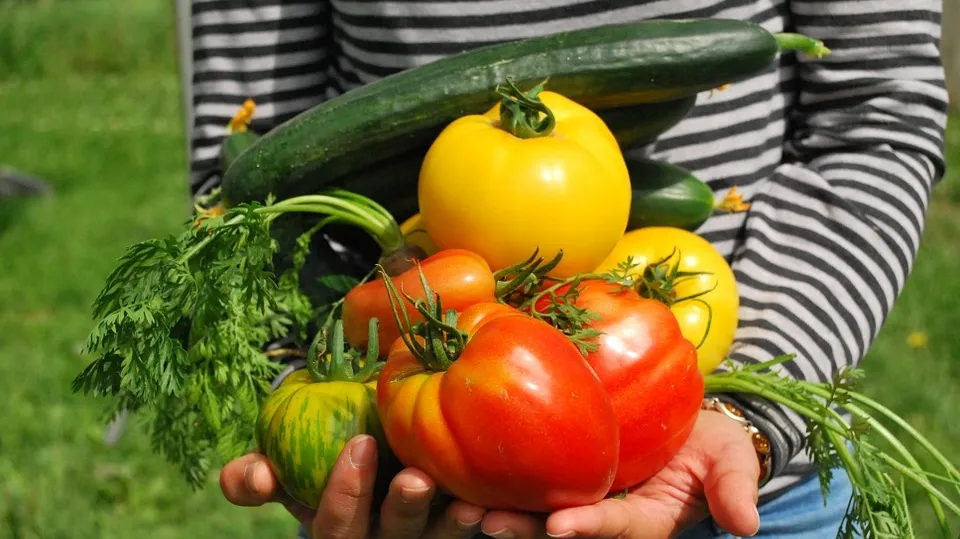 Vegetables 742095_960_720