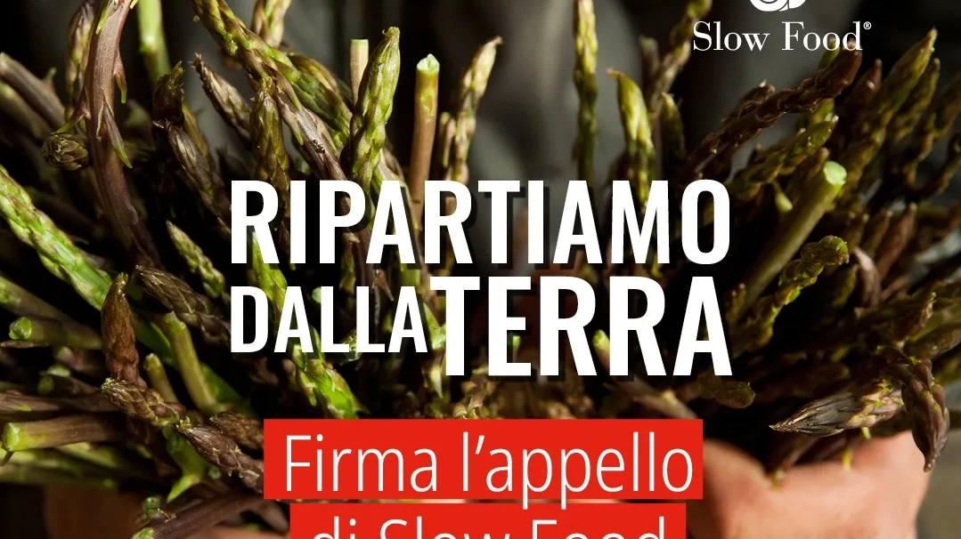 1080x1080_ripartiamo Dalla Terra9