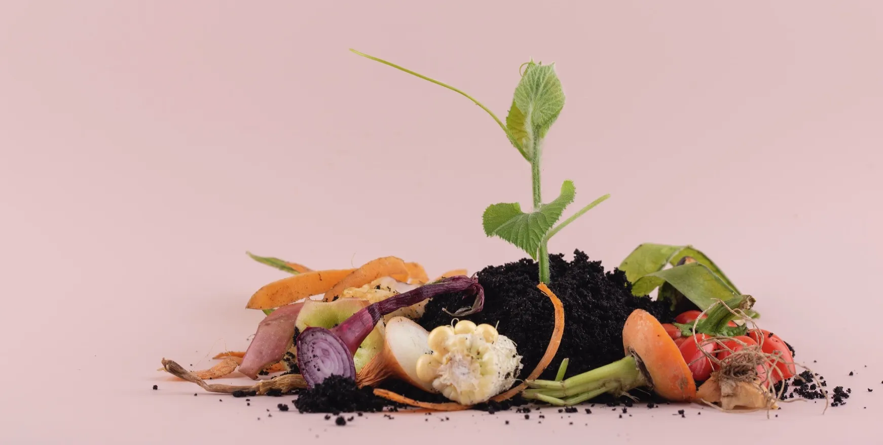 Assortimento Di Compost Fatto Di Cibo Marcio Con Spazio Di Copia 2