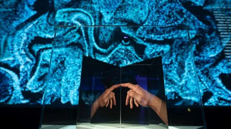 Mostra_U.MANO_Fondazione_Golinelli_dettaglio_opera_Pistoletto 17892 800 600 802