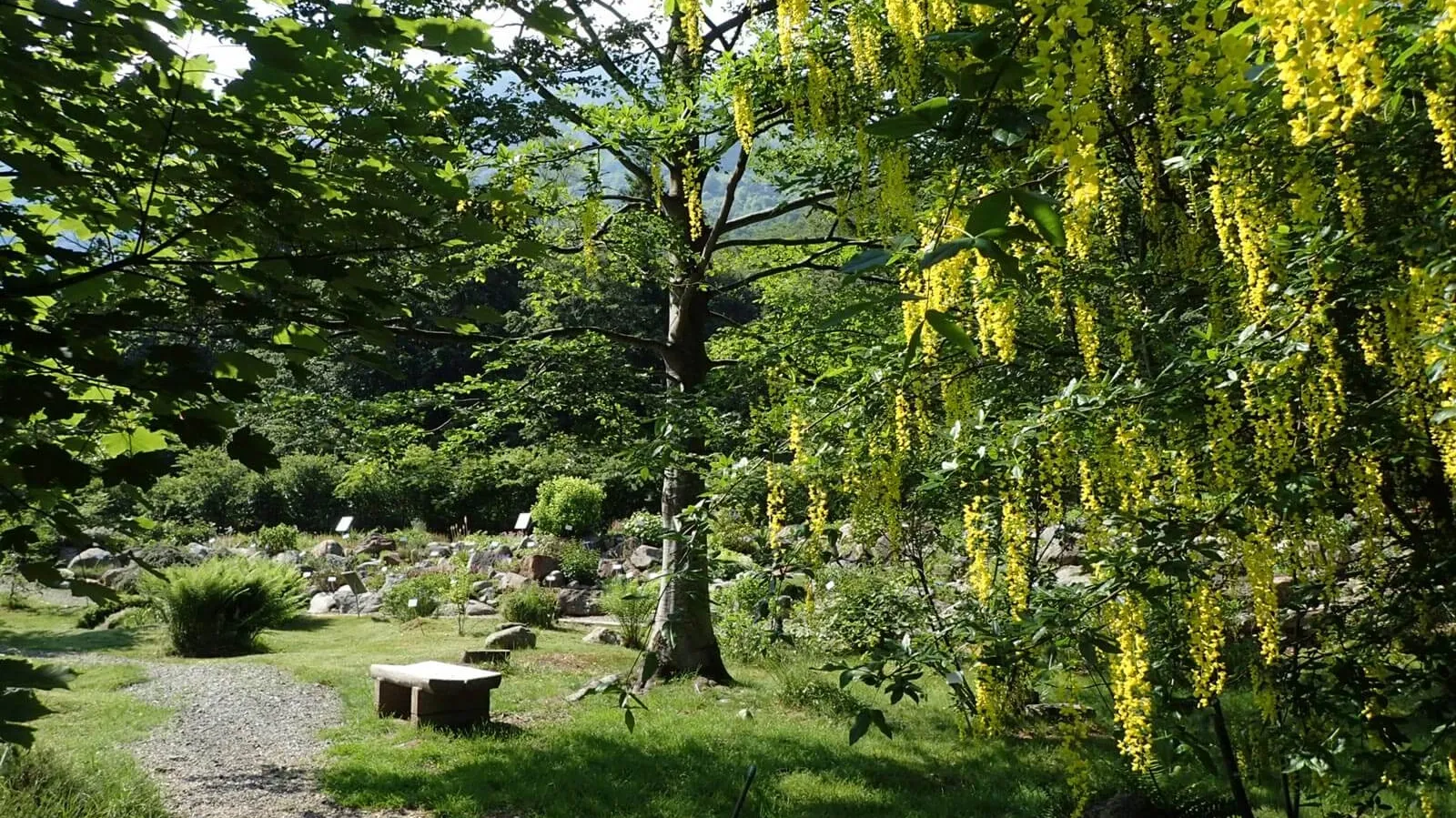 02OASI_GBOROPA_FABRIZIO_BOTTELLI Giardino Botanico Web